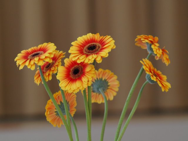 p5191619.jpg